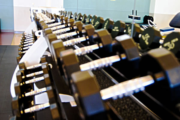 Free Weights